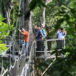 CC20151105-Iwokrama Walkway