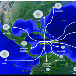 logistic