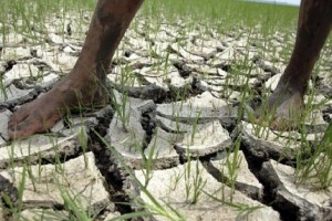 Drought 
