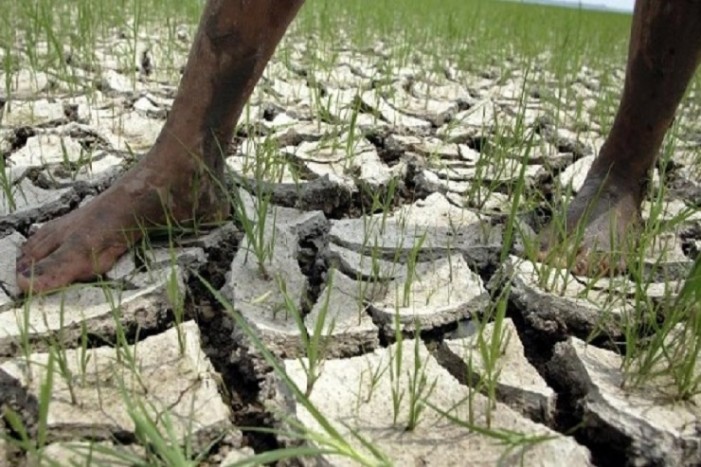 Drought aids science in Dominican Republic