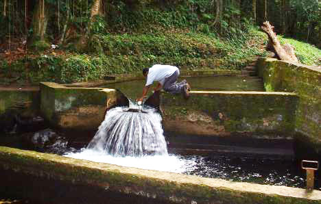 St. Kitts & Nevis faces water shortage