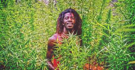 Jamaica running low on marijuana