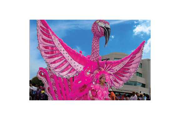 Junior Carnival 2016