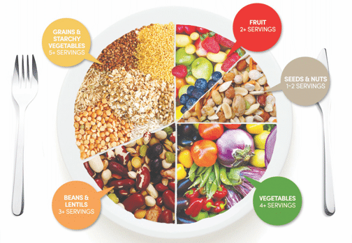 Plant-based Weight Loss