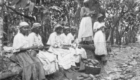 Why eat slave plantation food ?