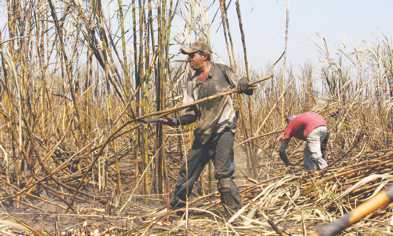 Barbados: Glory days of sugar gone