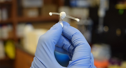 University of Waterloo develops new way  to fight HIV transmission