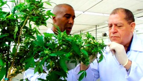 Toronto- based company now listed  on the Jamaica Stock Exchange