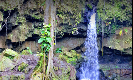 Dominica is ready to be rediscovered