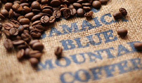 Jamaica Seeks Chinese Funding to Expand Coffee Industry