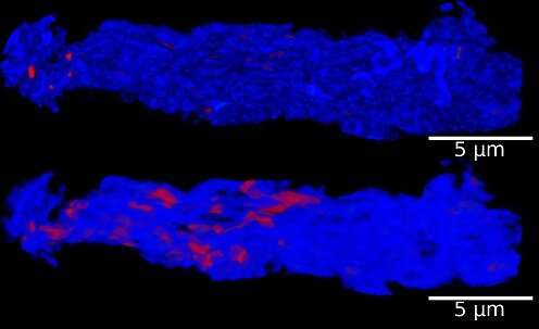 ‘Needleless’ vaccine will protect children  from dangerous viruses