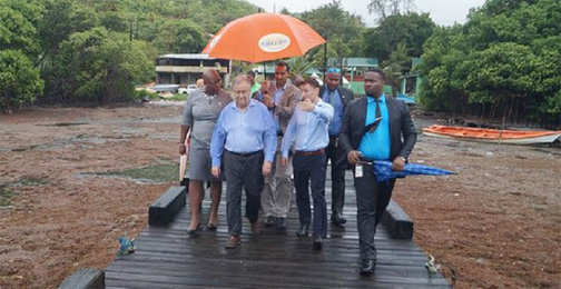 UN head sees devastating impact of Sargassum on St Lucia