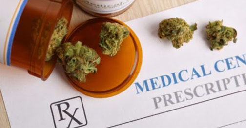 St. Vincent issues Cannabis licenses