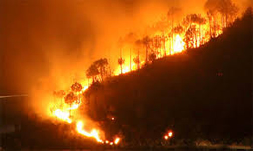 We’re all involved when fires rage