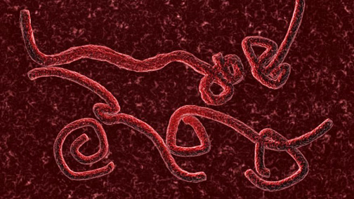 Grenada raises Ebola threat level to “guarded”