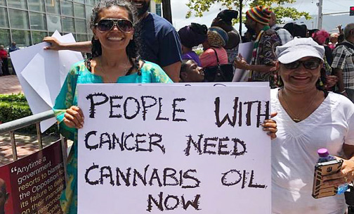 T&T advocates say: “Enact Cannabis medical legislation now”