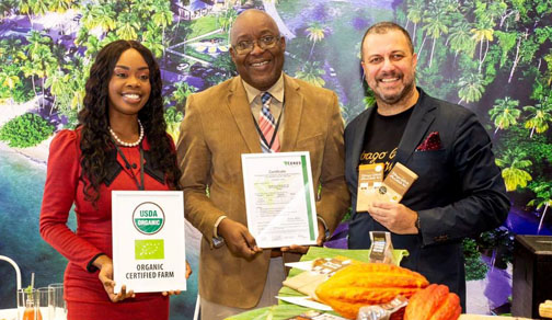 Boomerang to bring visitors to Tobago