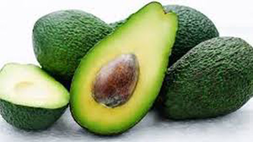 Avocados may help manage obesity, prevent diabetes