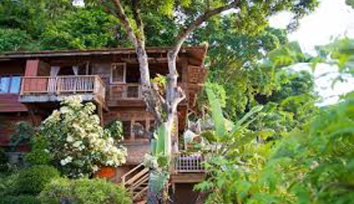 Tobago Tourism unveils eco-initiatives for 2020