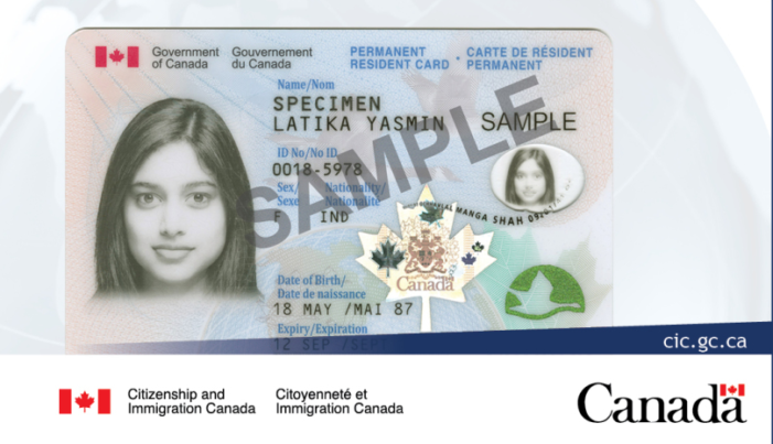 COVID-19 pandemic prompts recent newcomers to return to their countries of origin