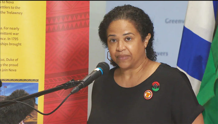 New African Nova Scotian institute to address racism in justice system
