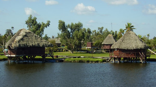 New COVID 19 travel information for Cuba