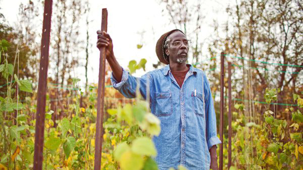 Afri-Can FoodBasket awakens Toronto to inequalities