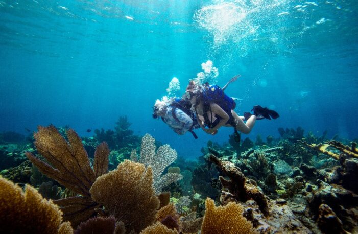 What’s new when traveling to the Bahamas in November