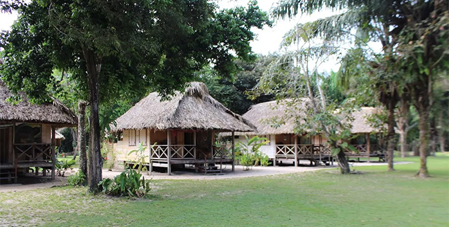 Best things to do in Guyana for sustainable tourism