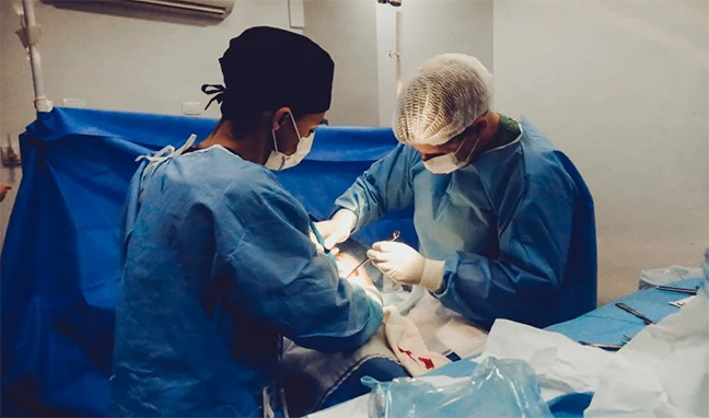 Hundreds of foreign-trained nurses heading to Ontario hospitals