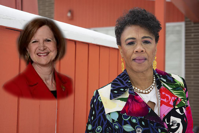 Black Nurses Task Force to release report on racism in the profession