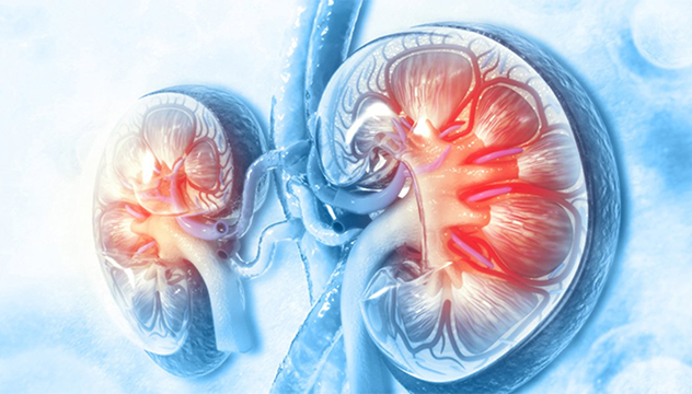 Type 2 diabetes and the risk of chronic kidney disease