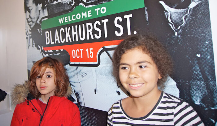 Three artists will compete to design Blackhurst Cultural Centre new logo