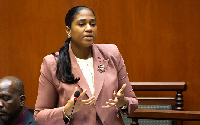 Antigua Govt says developers cannot prevent public access to beaches