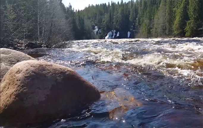 Refugee rejection led migrants to cross dangerous rivers