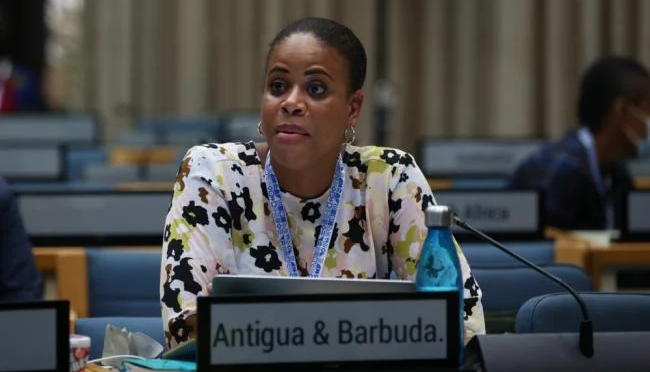 Antigua diplomat elected to UN Intergovernmental Negotiating Committee