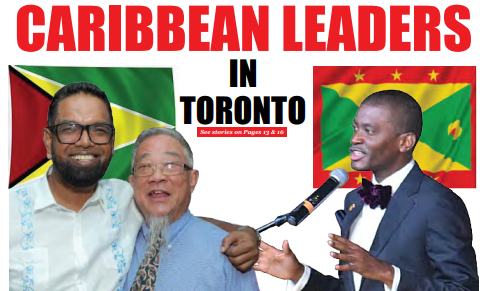 President Irfaan Ali calls on Guyanese to ‘come home and invest’