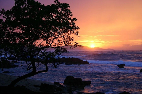 Planning your next getaway?