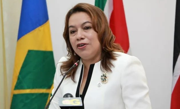 Guyana begins two-year term on UN Security Council