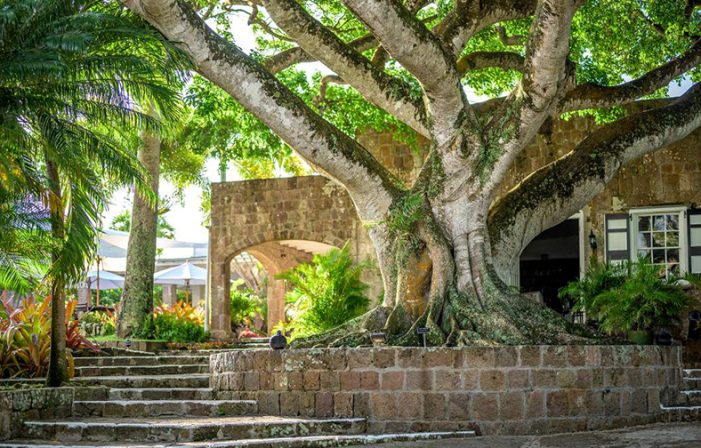 Enjoy Nevis a tranquil jewel beyond expectations