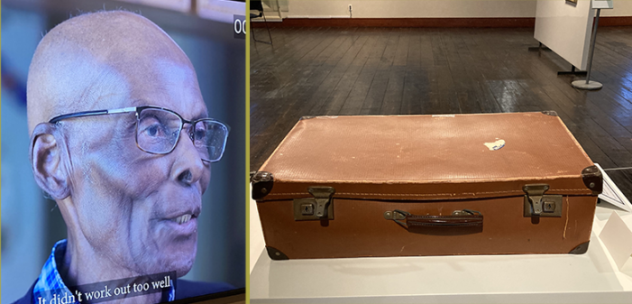 Exhibition telling stories of remarkable migrants at Market Gallery in Toronto
