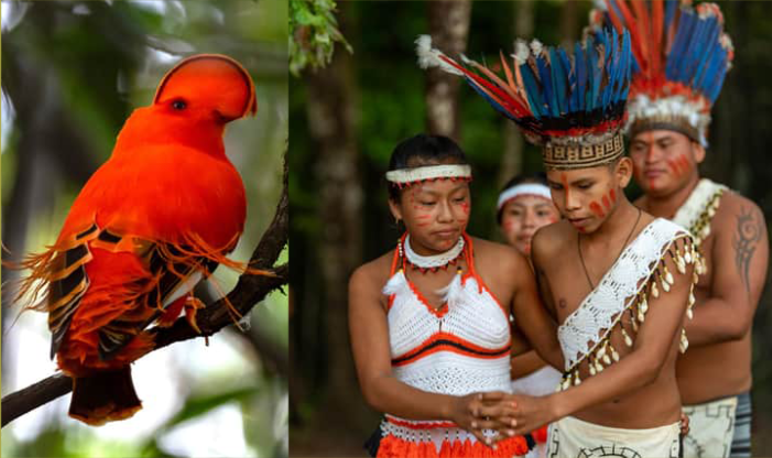 Discover why Guyana is your ultimate adventure