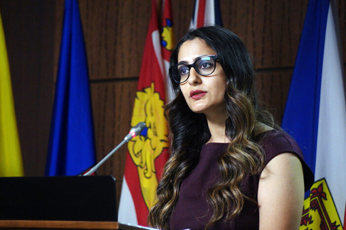 Canada Unveils Ambitious 2024–2028 Anti-Racism Strategy for Equity