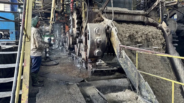 Cuban sugar industry faces crisis amid economic challenges