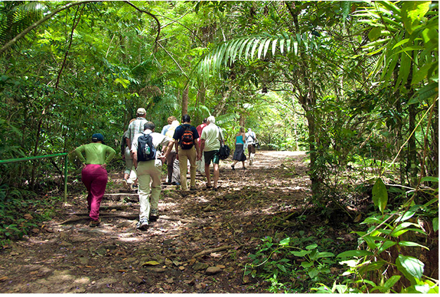 Uncover the Charm of Tobago: Beaches, Adventure, and Culture in the Heart of the Caribbean